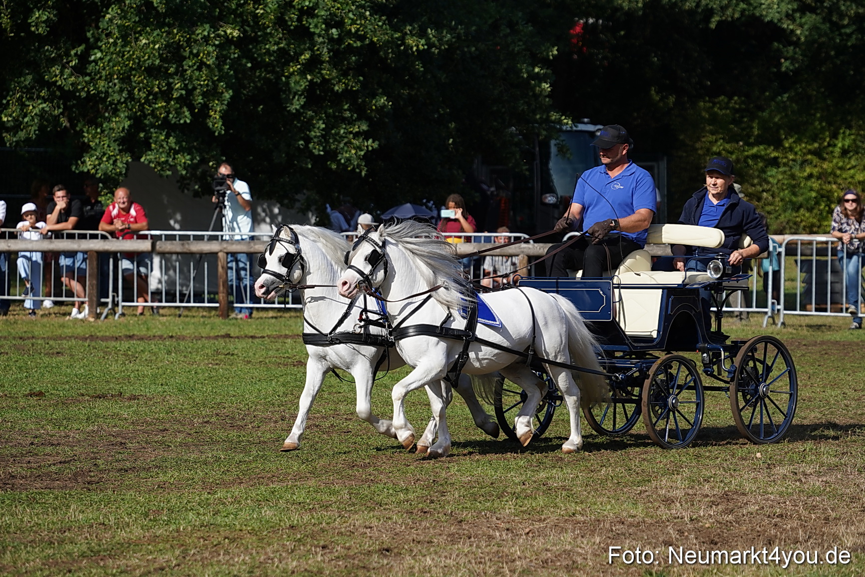 Pferde und Fohlenschau 2022 0097 